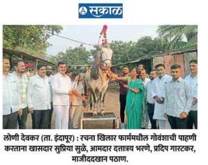 खासदार सुप्रिया सुळे यांनी केली खिलार गोवंशाची पाहणी 