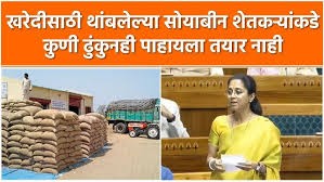 Supriya Sule त्या सोयाबीन शेतकऱ्यांकडे कुणी ढुंकुनही पाहायला तयार नाही - सुप्रिया सुळे