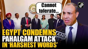 Egypt FM condemns Pahalgam attack on civilians after meeting Supriya Sule-led delegation in Cairo