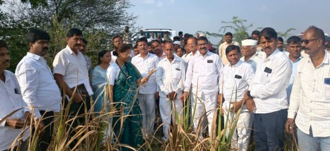 Indapur येथे दुष्काळग्रस्त भागाची खासदार सुप्रिया सुळे यांच्याकडून पाहणी.